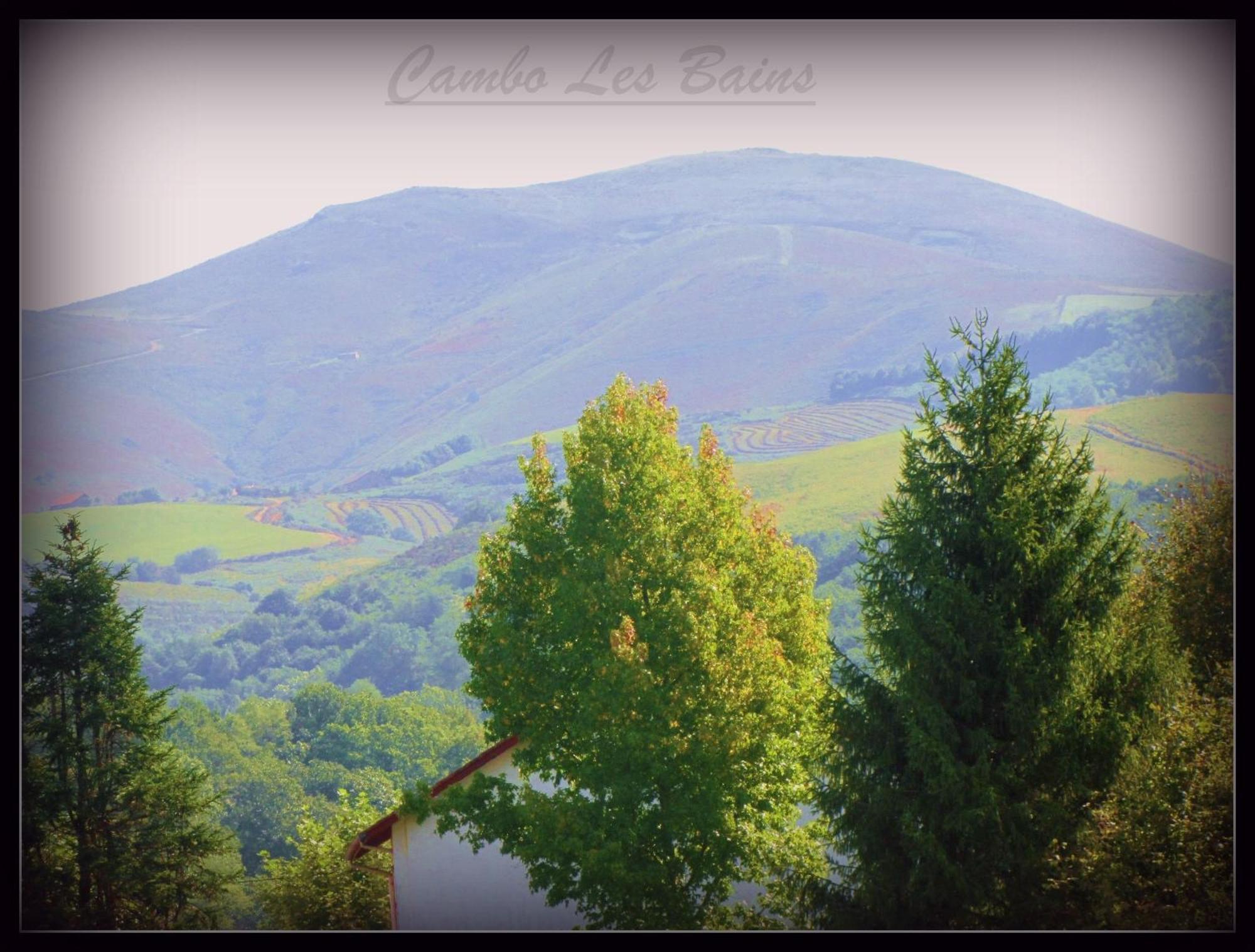 Hotel Ursula Cambo-les-Bains Esterno foto