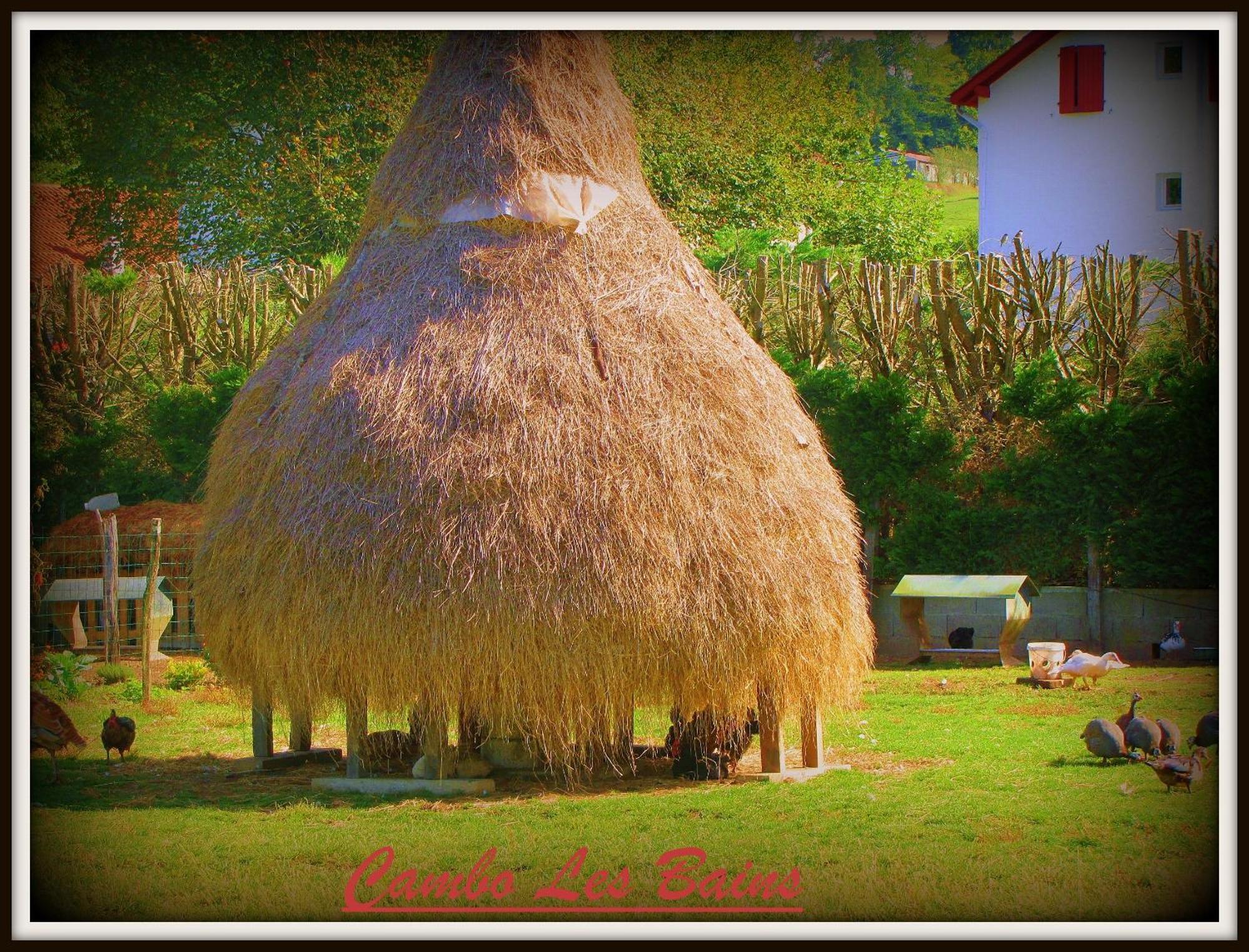 Hotel Ursula Cambo-les-Bains Esterno foto